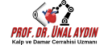 unal-aydin